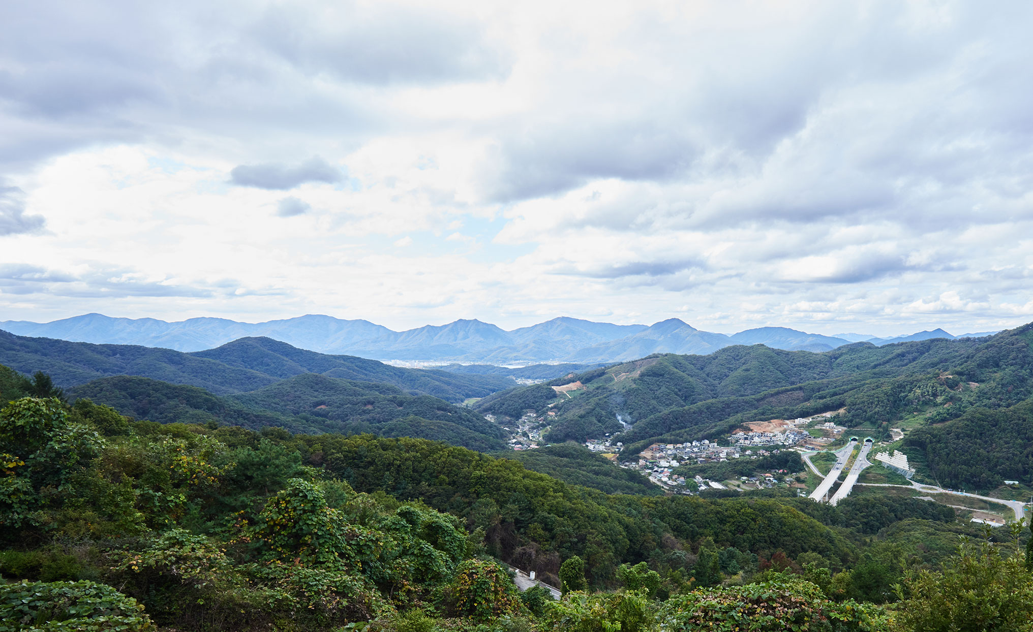 자하연 팔당전경