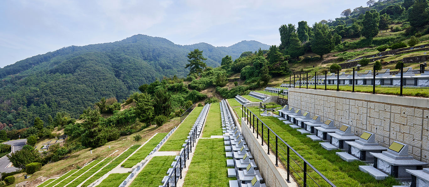 물과 숲이 어우러진 ’자하연 팔당‘