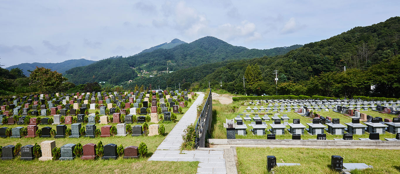 물과 숲이 어우러진 ’자하연 팔당‘